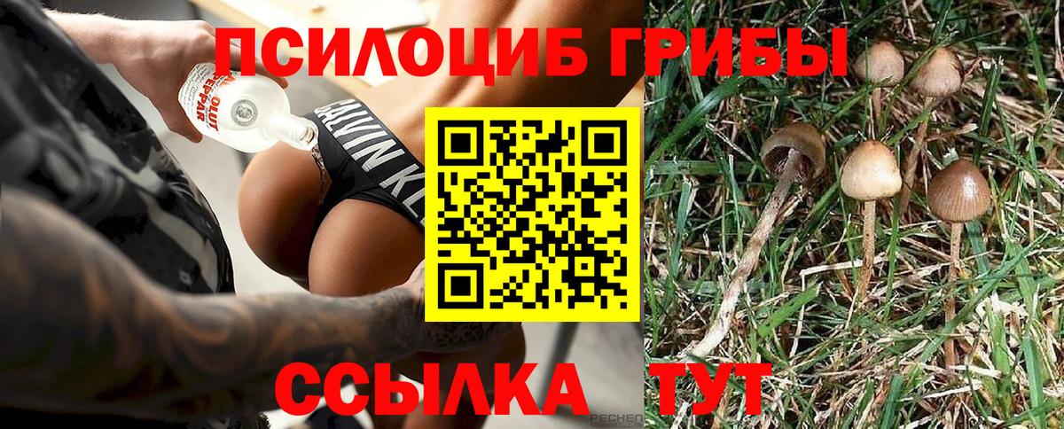 Гурьевск  Галлюциногенные грибы Magic Shrooms  Вход с VPN  Галлюциногенные грибы ЛСД 